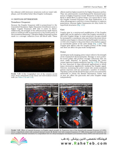 Ultrasound: The Requisites