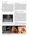 Ultrasound: The Requisites