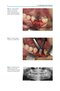 Bone Management in Dental Implantology 1st ed. 2019 Edition