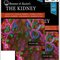 Brenner and Rector's The Kidney, 2-Volume Set 11th Edition