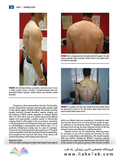 Disorders of the Shoulder: Sports Injuries -Vol2- 3E 2013