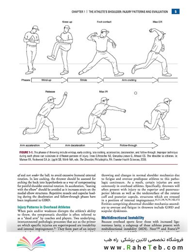 Disorders of the Shoulder: Sports Injuries -Vol2- 3E 2013