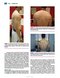 Disorders of the Shoulder: Sports Injuries -Vol2- 3E 2013