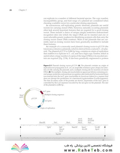 Molecular Biotechnology, 5th Edition 2022