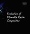 Restoring with Flowables, 1st Edition2017