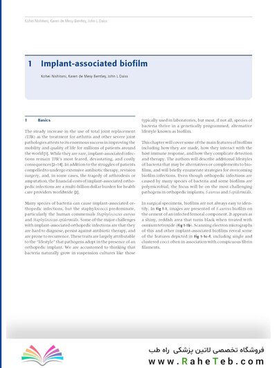 Principles of Orthopedic Infection Management2017