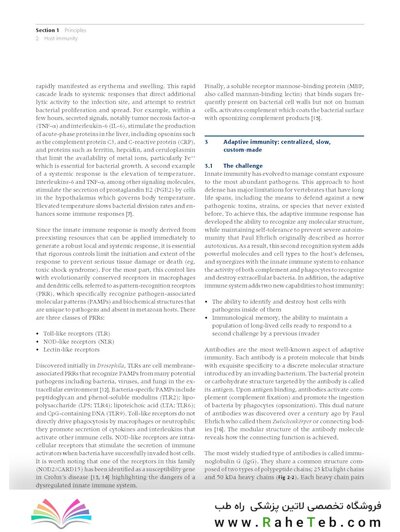 Principles of Orthopedic Infection Management2017