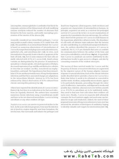 Principles of Orthopedic Infection Management2017