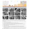 Principles of Orthopedic Infection Management2017