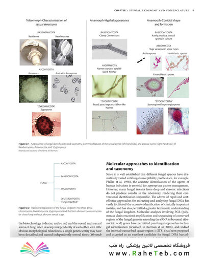 Oxford Textbook of Medical Mycology, 1st Edition 2018