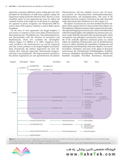 Oxford Textbook of Medical Mycology, 1st Edition 2018