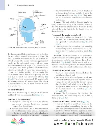 The Eye: Basic Sciences in Practice 4th Edition2015