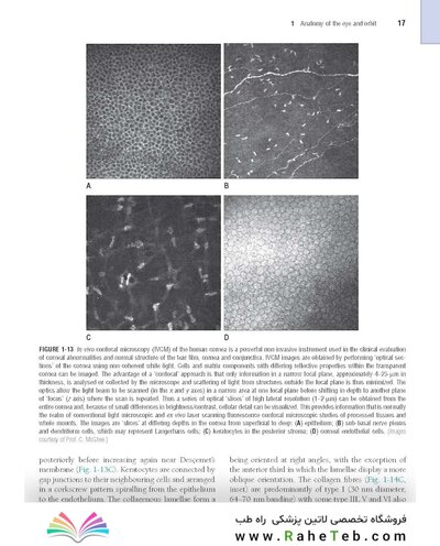 The Eye: Basic Sciences in Practice 4th Edition2015