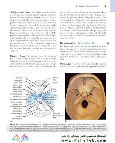 The Eye: Basic Sciences in Practice 4th Edition2015