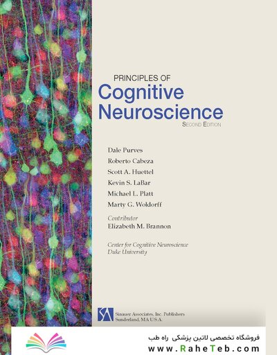Principles of Cognitive Neuroscience, 2nd Edition2013