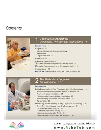 Principles of Cognitive Neuroscience, 2nd Edition2013