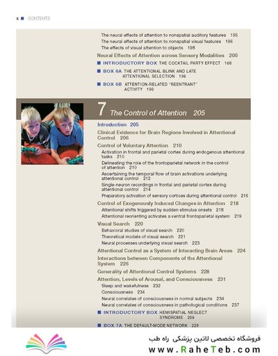Principles of Cognitive Neuroscience, 2nd Edition2013
