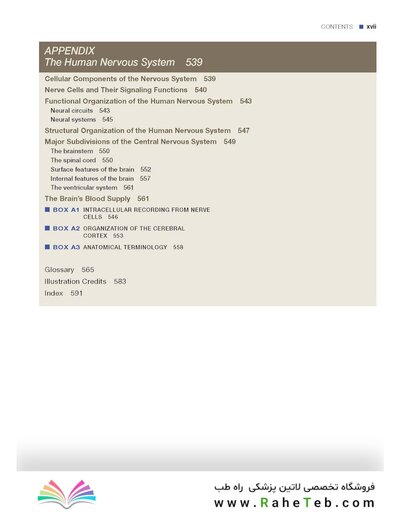 Principles of Cognitive Neuroscience, 2nd Edition2013