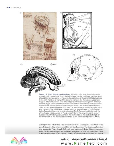 Principles of Cognitive Neuroscience, 2nd Edition2013
