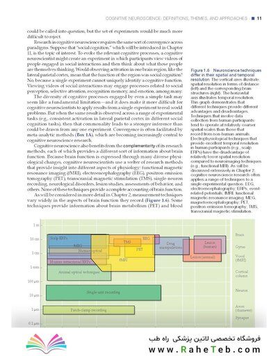 Principles of Cognitive Neuroscience, 2nd Edition2013