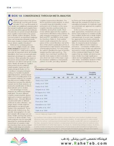 Principles of Cognitive Neuroscience, 2nd Edition2013