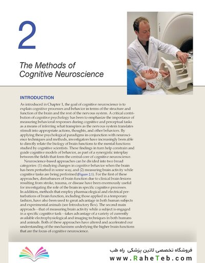 Principles of Cognitive Neuroscience, 2nd Edition2013