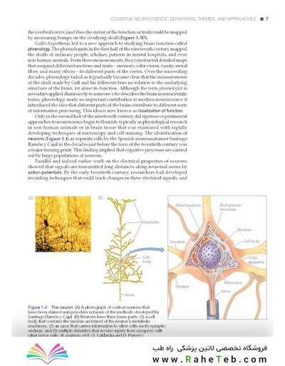 Principles of Cognitive Neuroscience, 2nd Edition2013