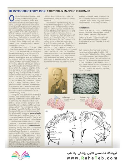 Principles of Cognitive Neuroscience, 2nd Edition2013