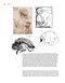Principles of Cognitive Neuroscience, 2nd Edition2013