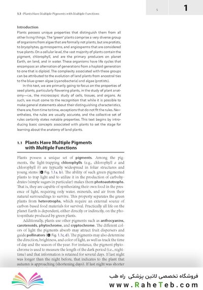 Plant Anatomy : A Concept-Based Approach to the Structure of Seed Plants