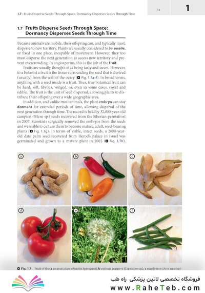 Plant Anatomy : A Concept-Based Approach to the Structure of Seed Plants