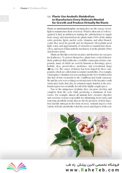 Plant Anatomy : A Concept-Based Approach to the Structure of Seed Plants