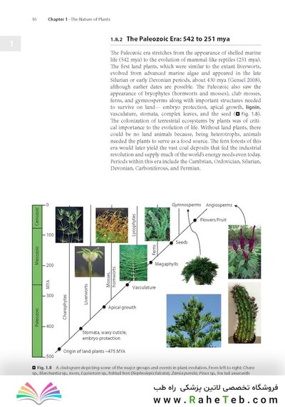 Plant Anatomy : A Concept-Based Approach to the Structure of Seed Plants