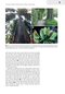 Plant Anatomy : A Concept-Based Approach to the Structure of Seed Plants