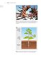 Plant Anatomy : A Concept-Based Approach to the Structure of Seed Plants