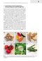 Plant Anatomy : A Concept-Based Approach to the Structure of Seed Plants
