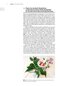 Plant Anatomy : A Concept-Based Approach to the Structure of Seed Plants
