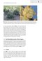 Plant Anatomy : A Concept-Based Approach to the Structure of Seed Plants