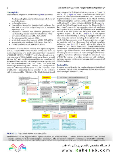 Atlas of Differential Diagnosis in Neoplastic Hematopathology2021