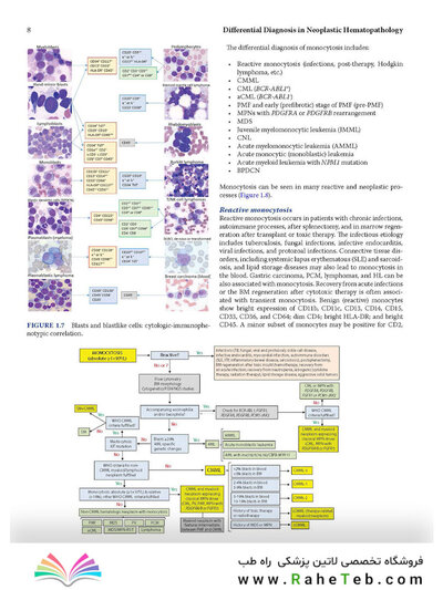 Atlas of Differential Diagnosis in Neoplastic Hematopathology2021