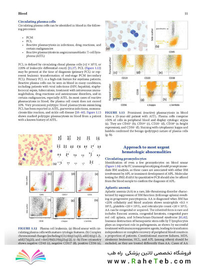 Atlas of Differential Diagnosis in Neoplastic Hematopathology2021