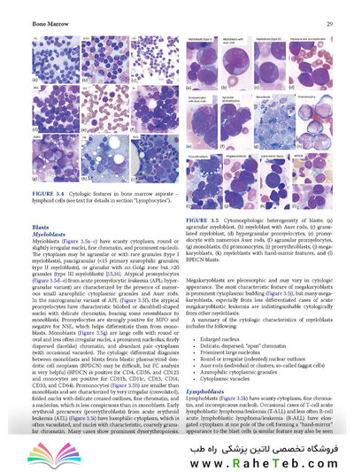 Atlas of Differential Diagnosis in Neoplastic Hematopathology2021