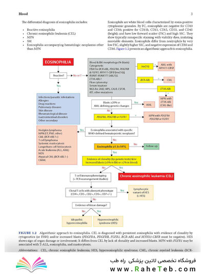 Atlas of Differential Diagnosis in Neoplastic Hematopathology2021