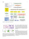 Atlas of Differential Diagnosis in Neoplastic Hematopathology2021