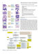 Atlas of Differential Diagnosis in Neoplastic Hematopathology2021