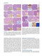 Atlas of Differential Diagnosis in Neoplastic Hematopathology2021