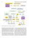 Atlas of Differential Diagnosis in Neoplastic Hematopathology2021