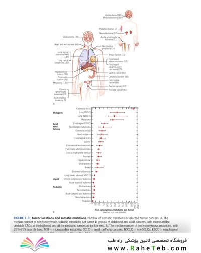 Cancer Genetics: A Clinical Approach 1st Edition