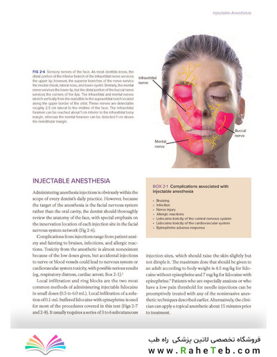 Dermal Fillers for Dental Professionals