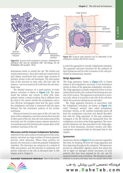 Guyton and Hall Textbook of Medical Physiology (Guyton Physiology) 13th Edition